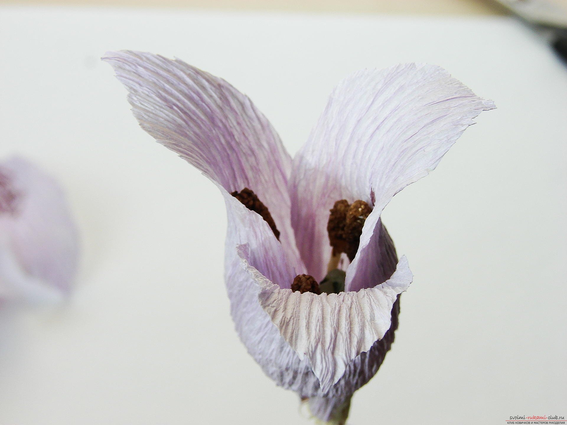 Мастер-класс научит как сделать гофрированные цветы своими руками – лилии из гофрированной бумаги.. Фото №30
